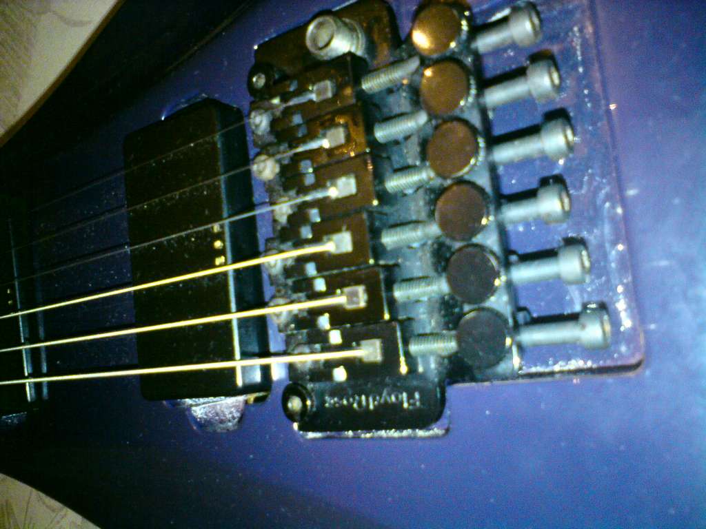 DSC00313_thumb.jpg
