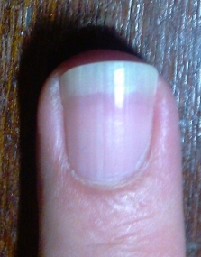IMAG0126.jpg